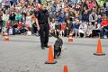 Polizeishow   033